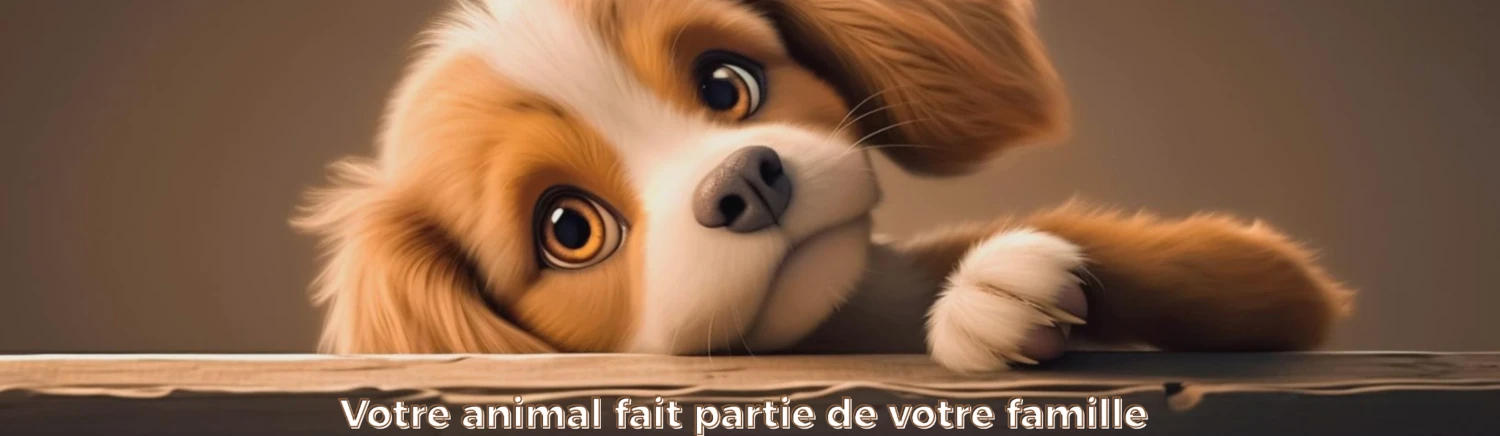 Pet Shop Les Orangers promo